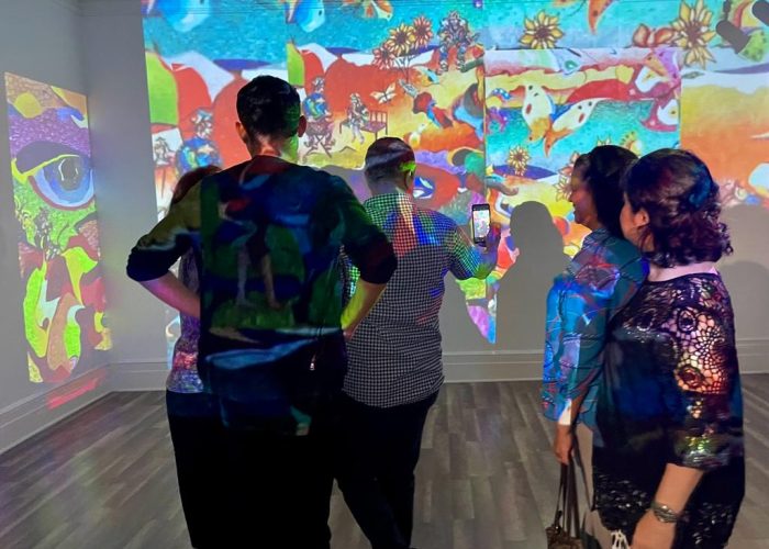 Saphira & Ventura Gallery Exhibitions