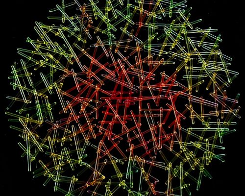 WhatsApp Image 2026-01-13 at 18.17.43