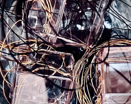 WhatsApp Image 2026-01-14 at 10.43.40