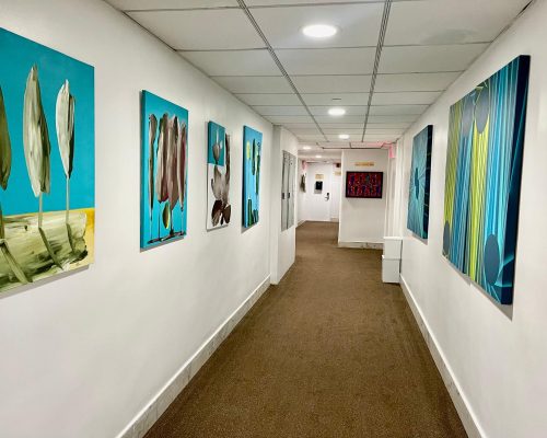 Saphira Ventura Gallery
