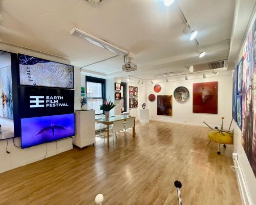 Saphira Ventura Gallery