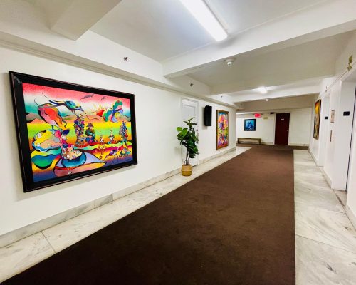 Saphira Ventura Gallery